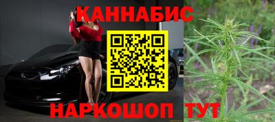 стаф Свободный