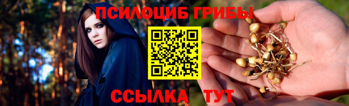 Псилоцибиновые грибы мицелий  Вход с VPN  Павловский Посад 